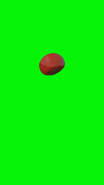 Tomato Throw Then Splat | Green Screen #boo #tomato #funny #meme #hate #fyp