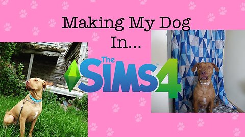 Making my pets in The Sims 4