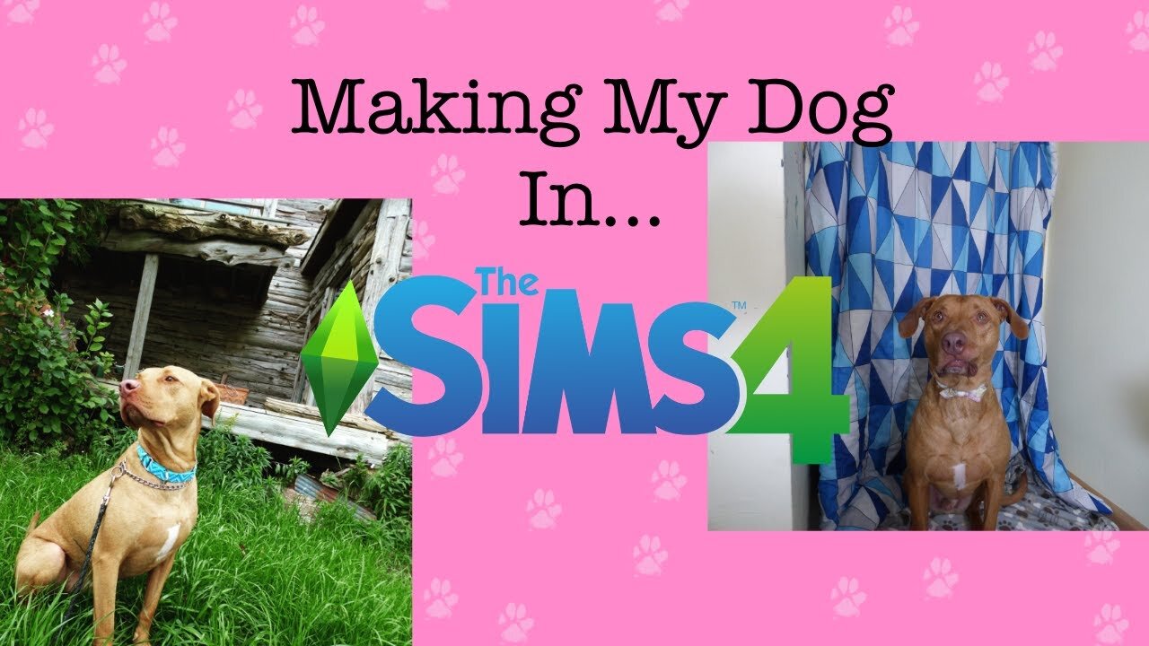 Making my pets in The Sims 4
