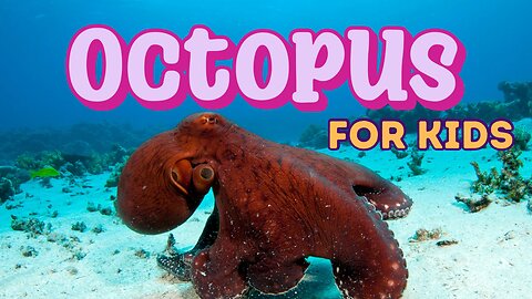 Octopus the Masters of the Sea