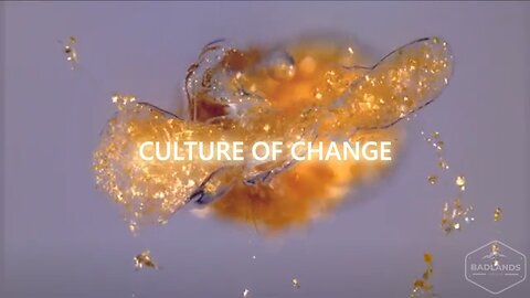 Culture of Change Ep. 107