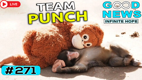 Orphaned Monkey Melts Hearts & Incredible Acts of Kindness | Good News – Infinite Hope #271