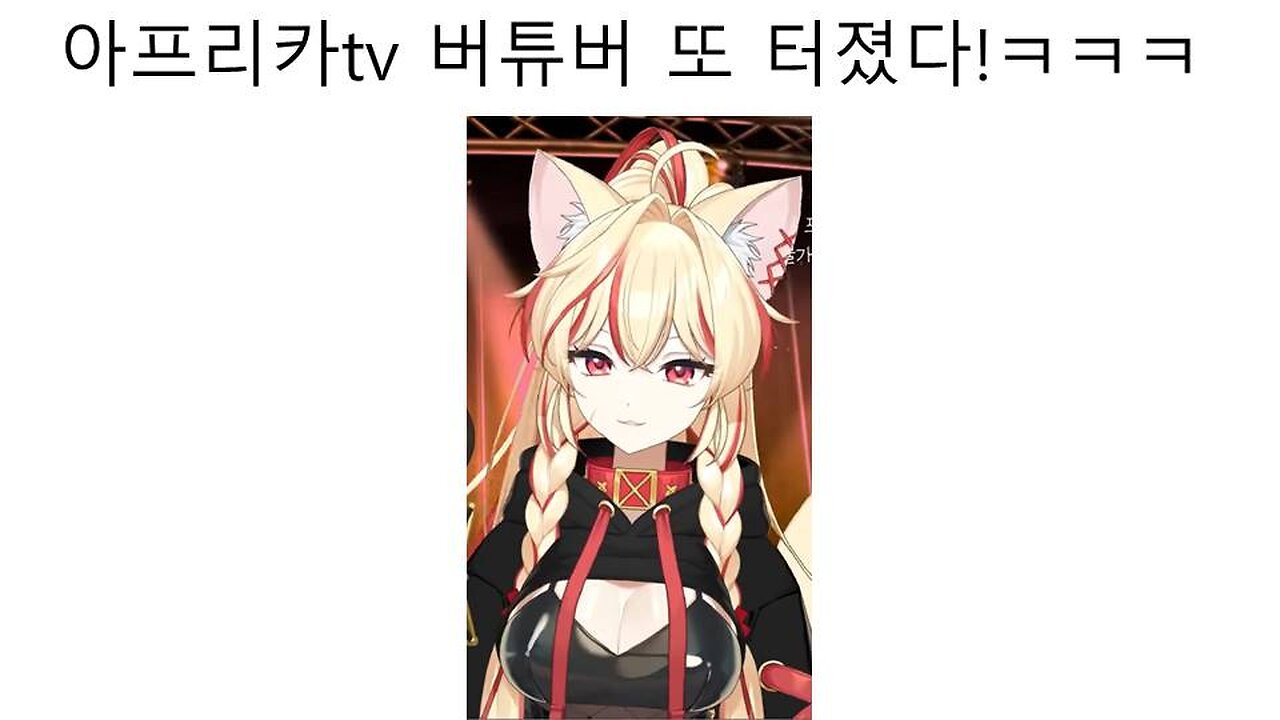 피아노캣 전 여친 최홍자의 원나잇 바람 사건 총집편
