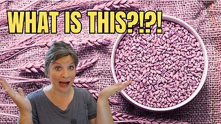 The New Wheat EVERY Home Baker Needs to Know About!