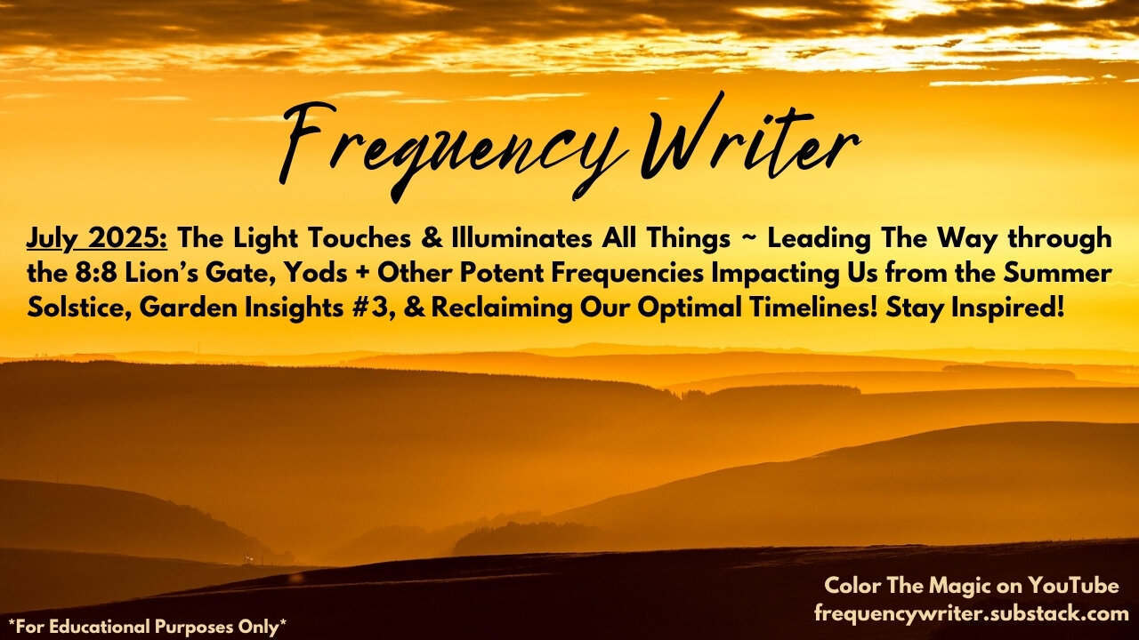 July 2025: The Light Touches & Illuminates All Things ~ Leading The Way Through The 8:8 Lion's Gate!
