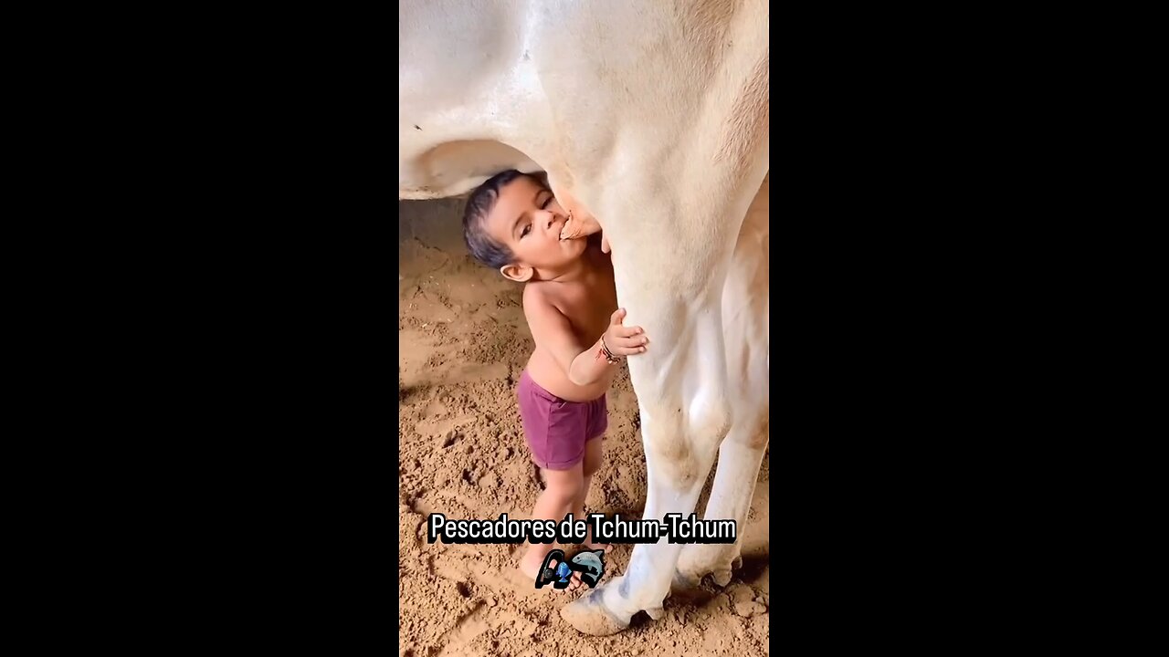 Breast Feeding
