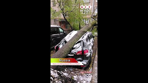 #Russia #snowfall #MoscowRegion #weather #poweroutage #transport #destruction #anomaly #climatecrisi