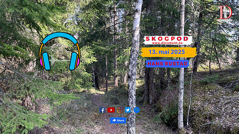 Skogpod 13. mai 2025