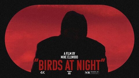 Birds at Night 2024