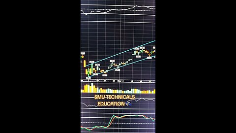 $MU🛰