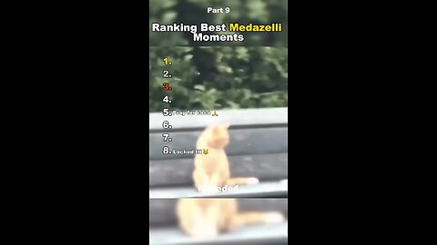 “When Life Gives You Lemons… Call It Medagelli 🍋😂”