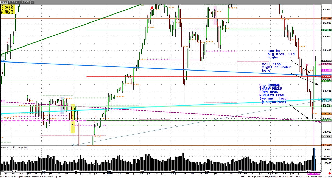 Nov11 Hogs jump? Silver $51 Gold Copper slips, Miners hedging CP?