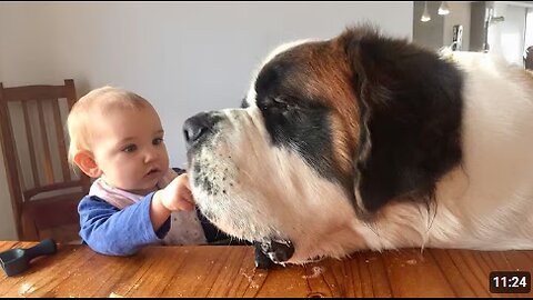 When Big Dogs Become the Sweetest Babysitters ❤️
