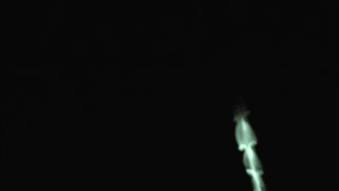 UFO IDENTIFIED Barbell ET Drones Over Adelaide 16 to 23 September 2025