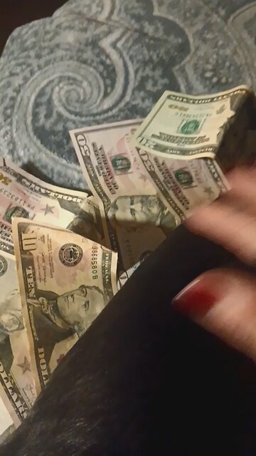 Pepper was playing with my money