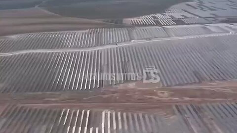 Andalusia, Spain, ancient olive trees have been cut down to make way for solar panels