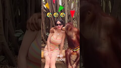 The Funniest Animals 🤣😂
