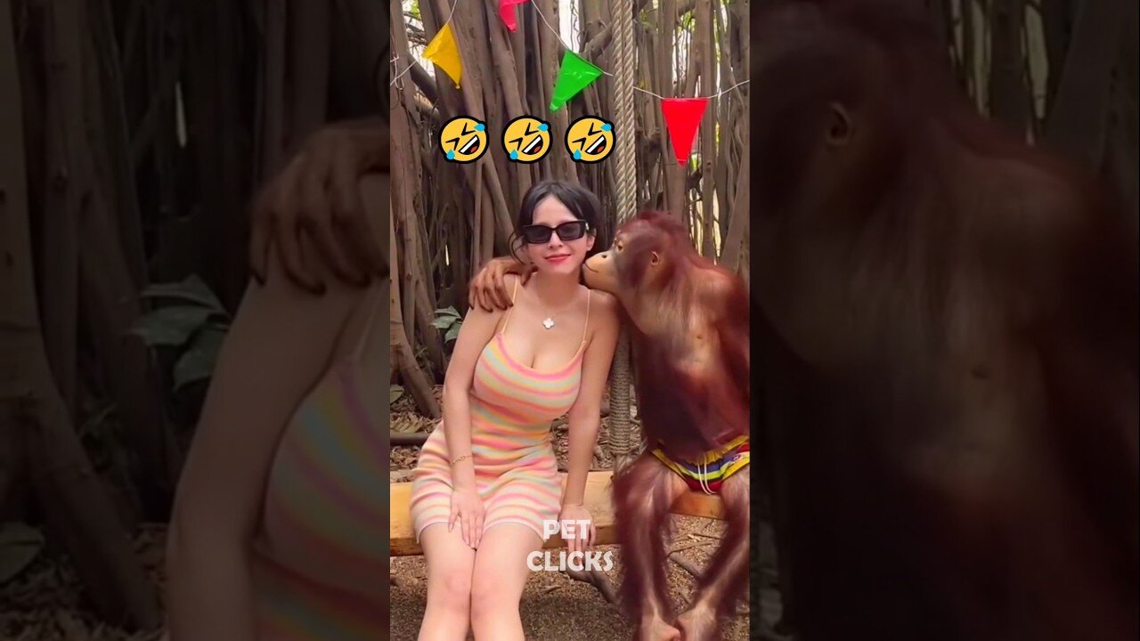 The Funniest Animals 🤣😂