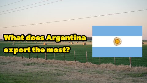 🇦🇷 What does Argentina export the most?