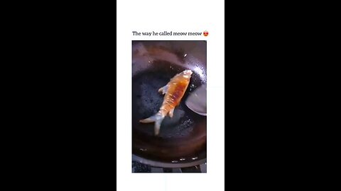 fish good 👍
