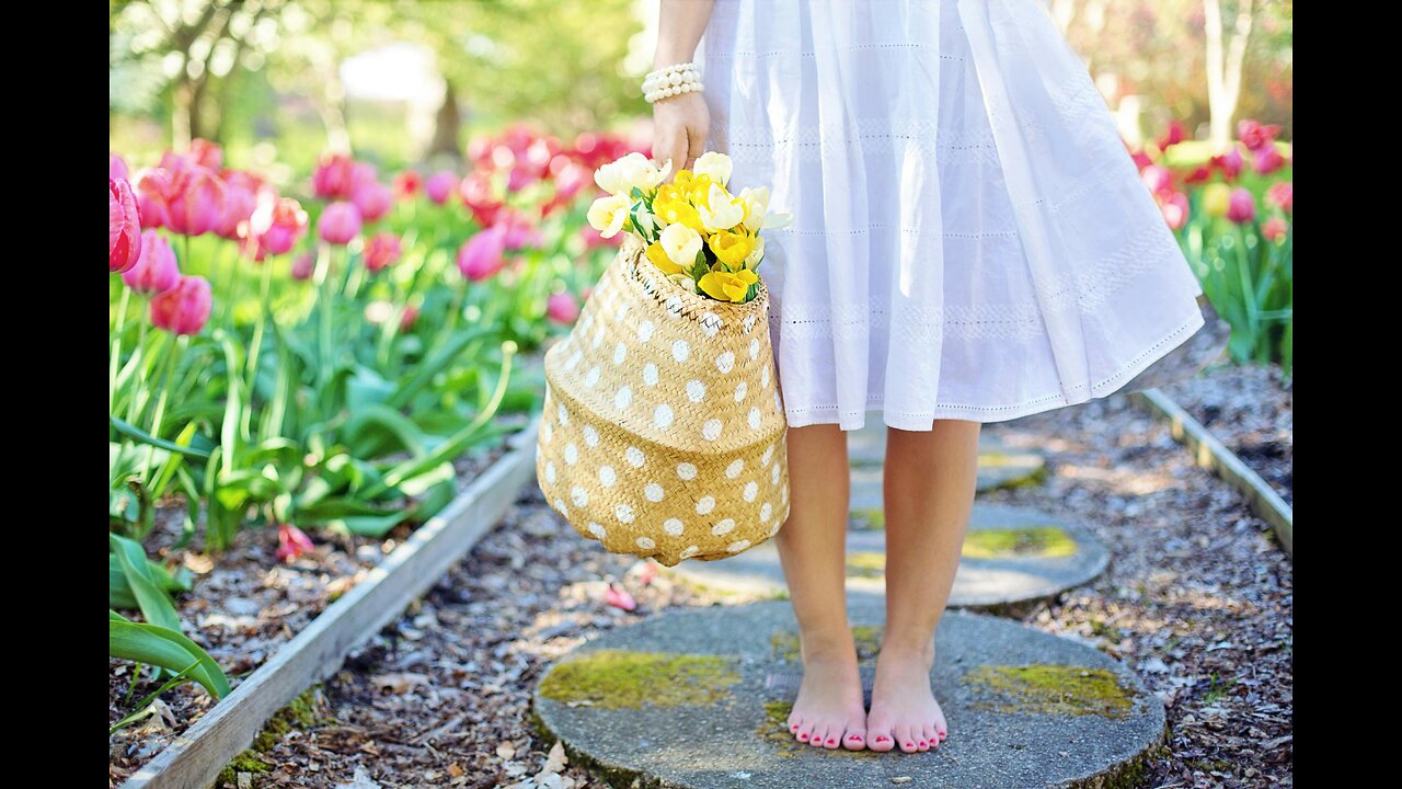 ♪♫ Spring’s Symphony – Part II