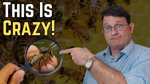 Mind-Controlled Bees - Yes, They're Real!