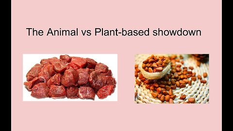 EP33 - Animal vs plant-based nutrition