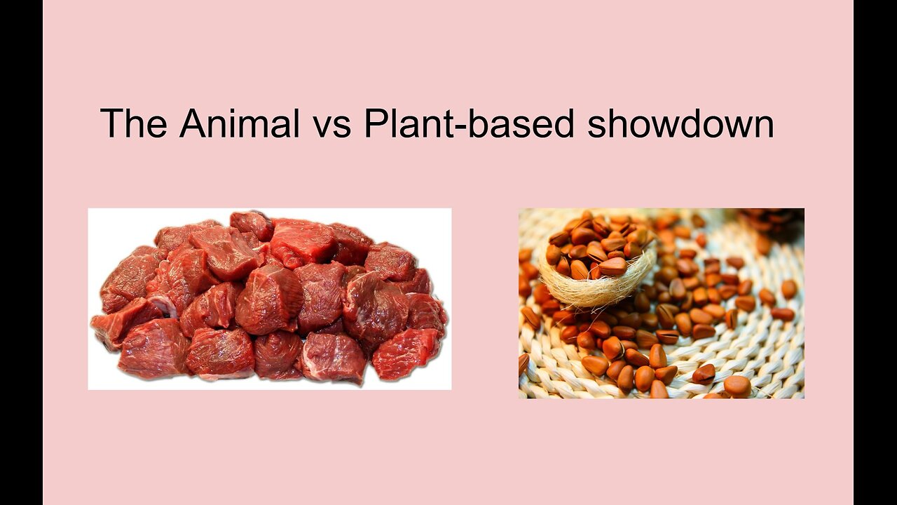 EP33 - Animal vs plant-based nutrition