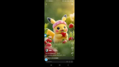 animals video