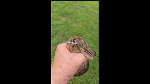 A Visitor!