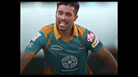 cricket lovers