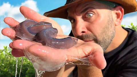 Yuck! What Creature Made this Slime？!