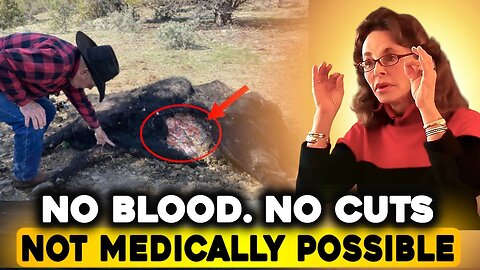 UFO Eyewitnesses Describe the Night Everything Changed | Linda Moulton Howe