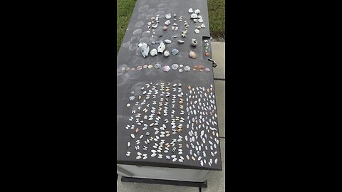 Beach Finds 4/28/25-5/1/25 | 4K