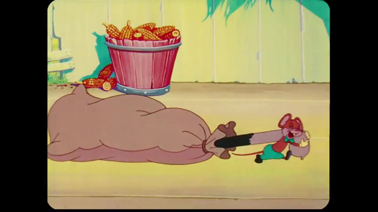 Herman: "Naughty But Mice"