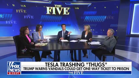 The Five - Why doesn't the Media Press Democrats on Tesla Terrorism?