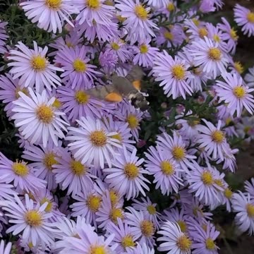 Perfect Prayer to Start Your Week!