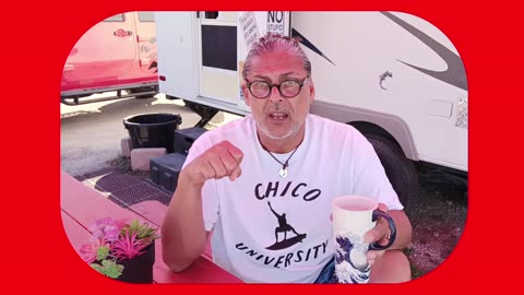 Narcissist Chronicles