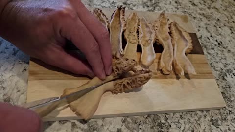 How to Find Morel Mushrooms - Tips & Tricks for Foraging the Best Tasting Thing in the Woods_part5