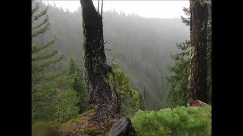 The Missing Man Taken By Bigfoot In Oregon