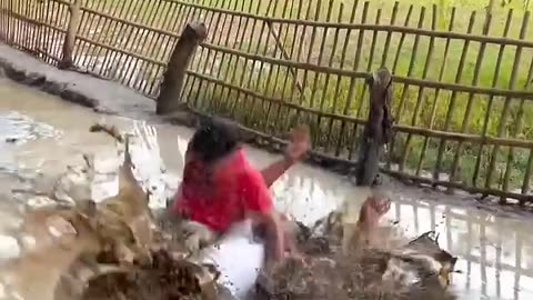 Funny video.