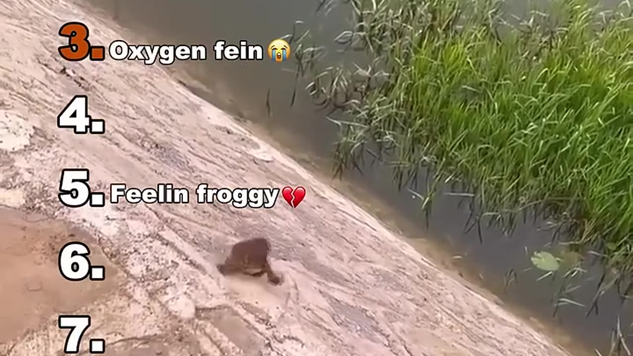 Best Medazelli funny