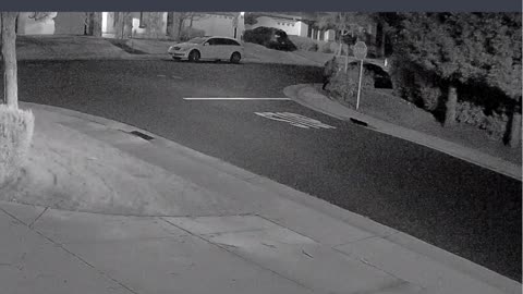 Dancing Porch Pirate?