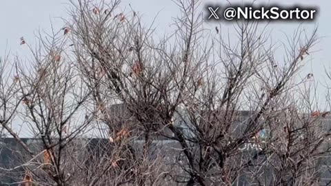 Blackhawks In Minneapolis | Check Description