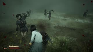 The entire Scarecrow section in Silent Hill f (Most tense part of the game)