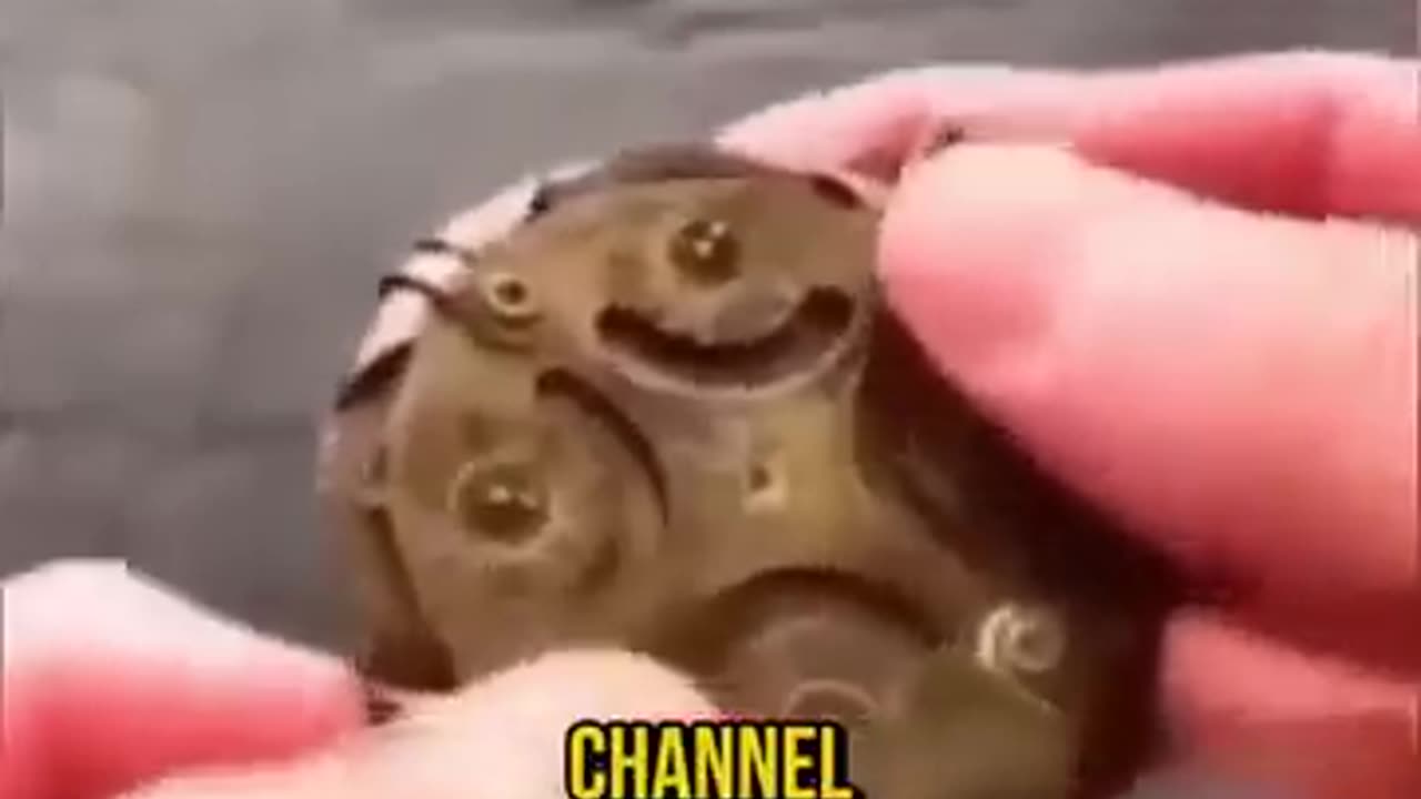 Excavations began and uncovered an ancient mechanism
