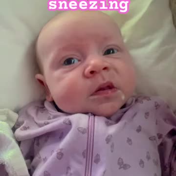 day 41 sneeze attack – kayla’s cutest little moment!