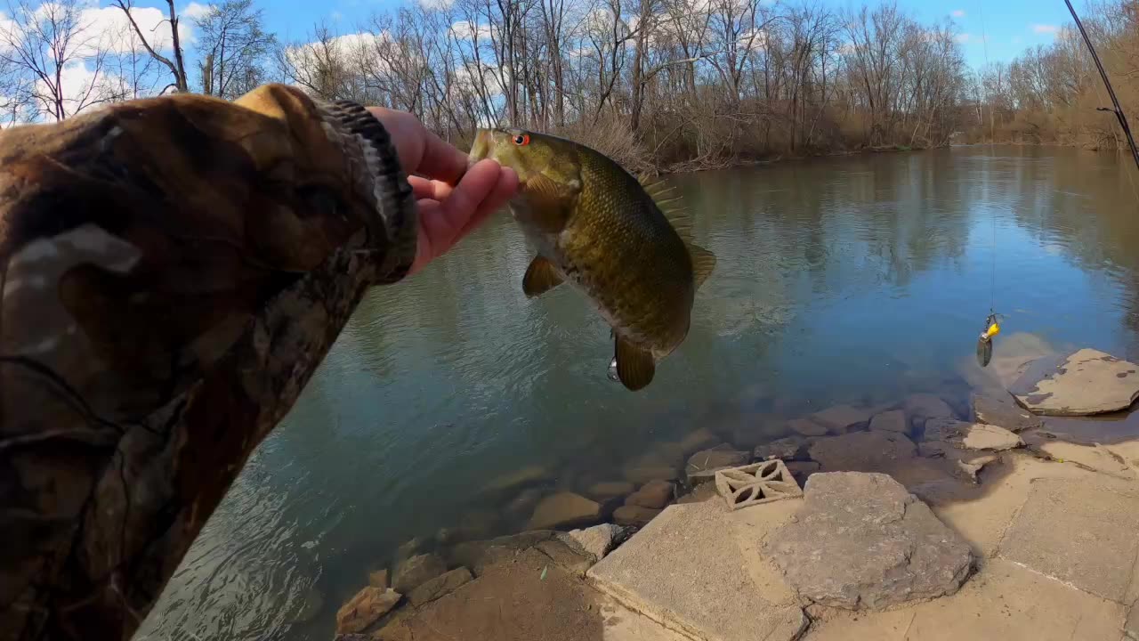 Smallmouth Bass