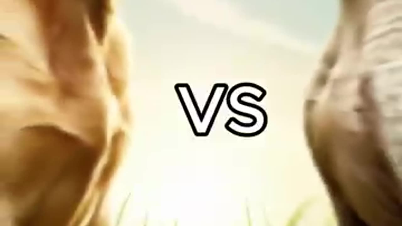 "Rottweiler Puppy vs Pitbull Puppy – Battle of the Baby Beasts!"