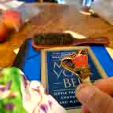 Somebody Got Caught Helping the Penguins